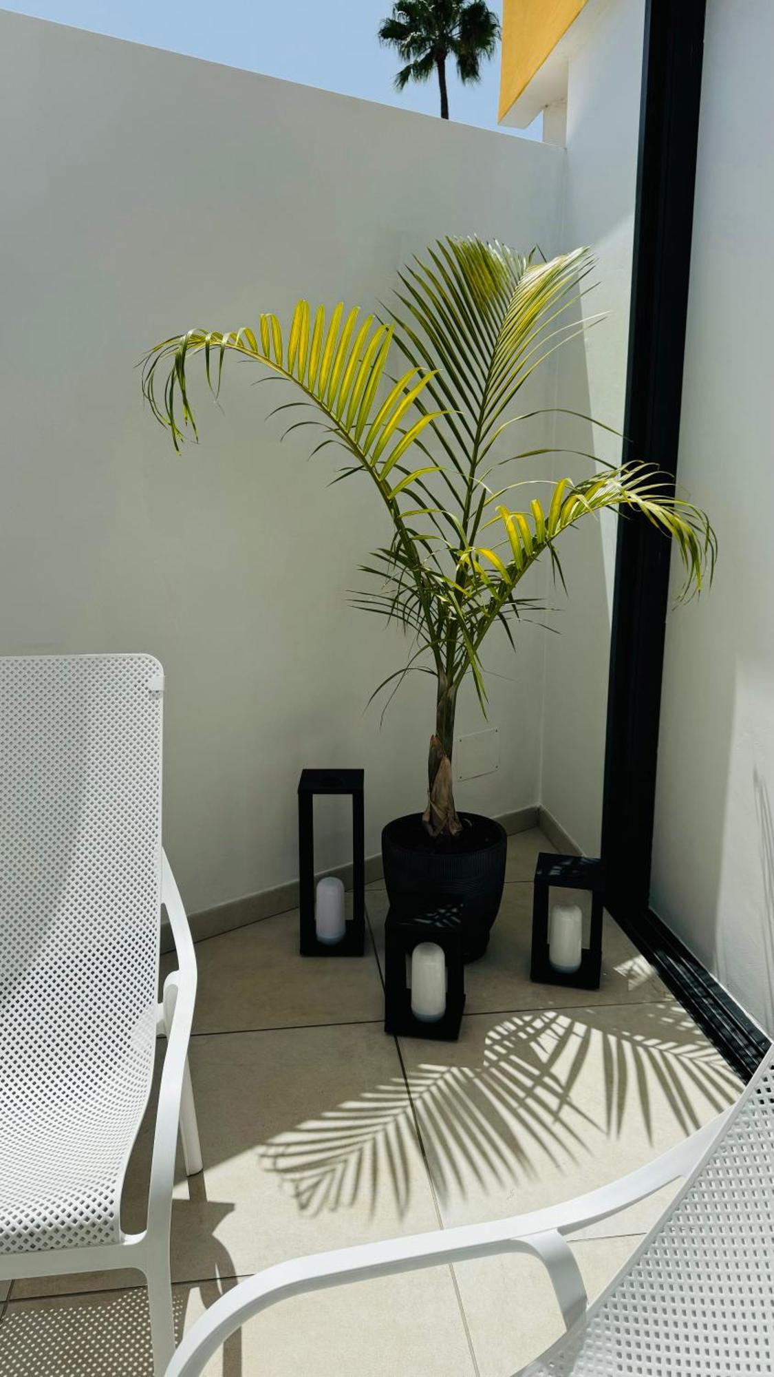 Bungalow Siena Center Playa Del Ingles Maspalomas  Zewnętrze zdjęcie